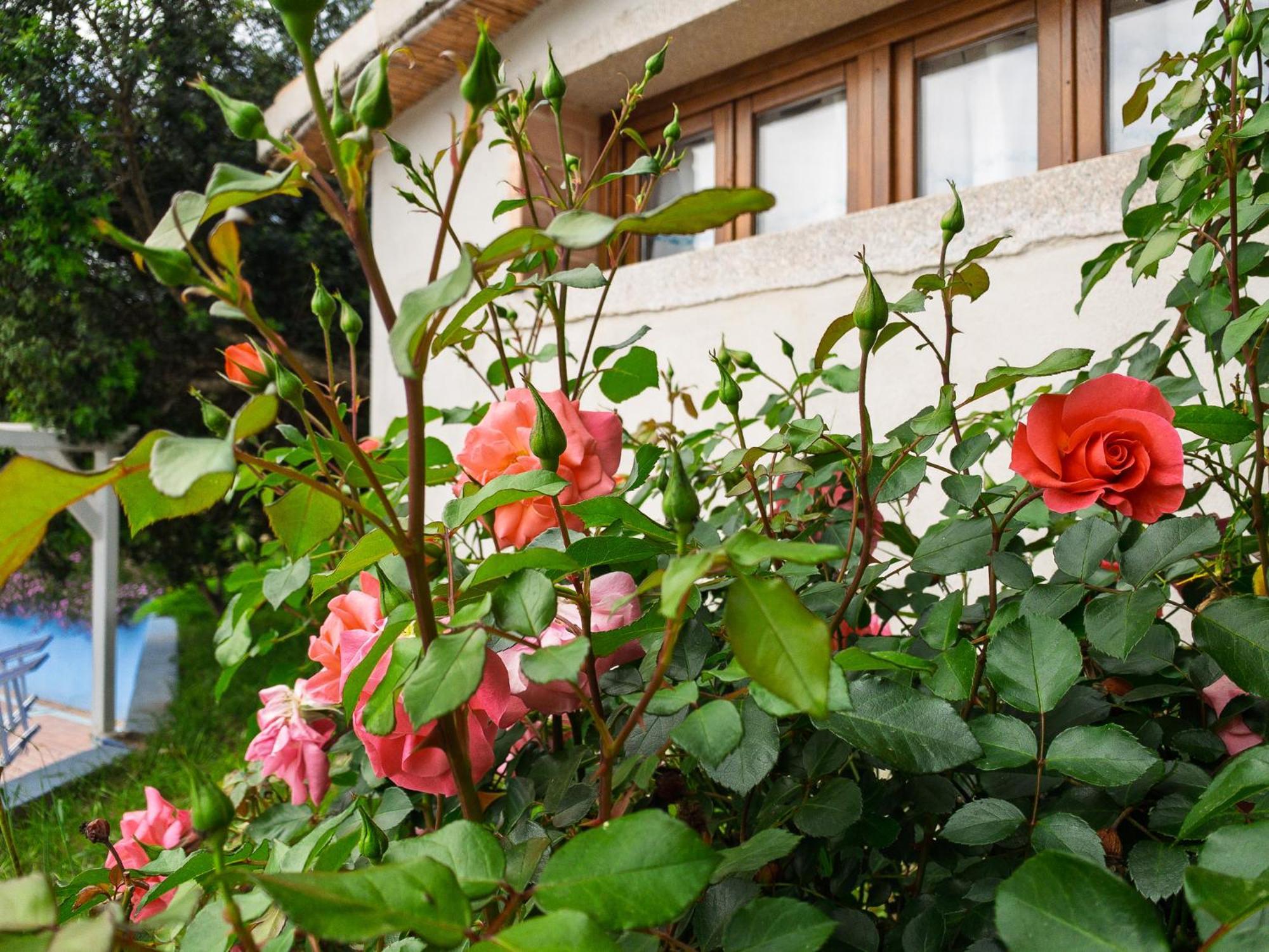 Agriturismo Guparza Posada  Ngoại thất bức ảnh